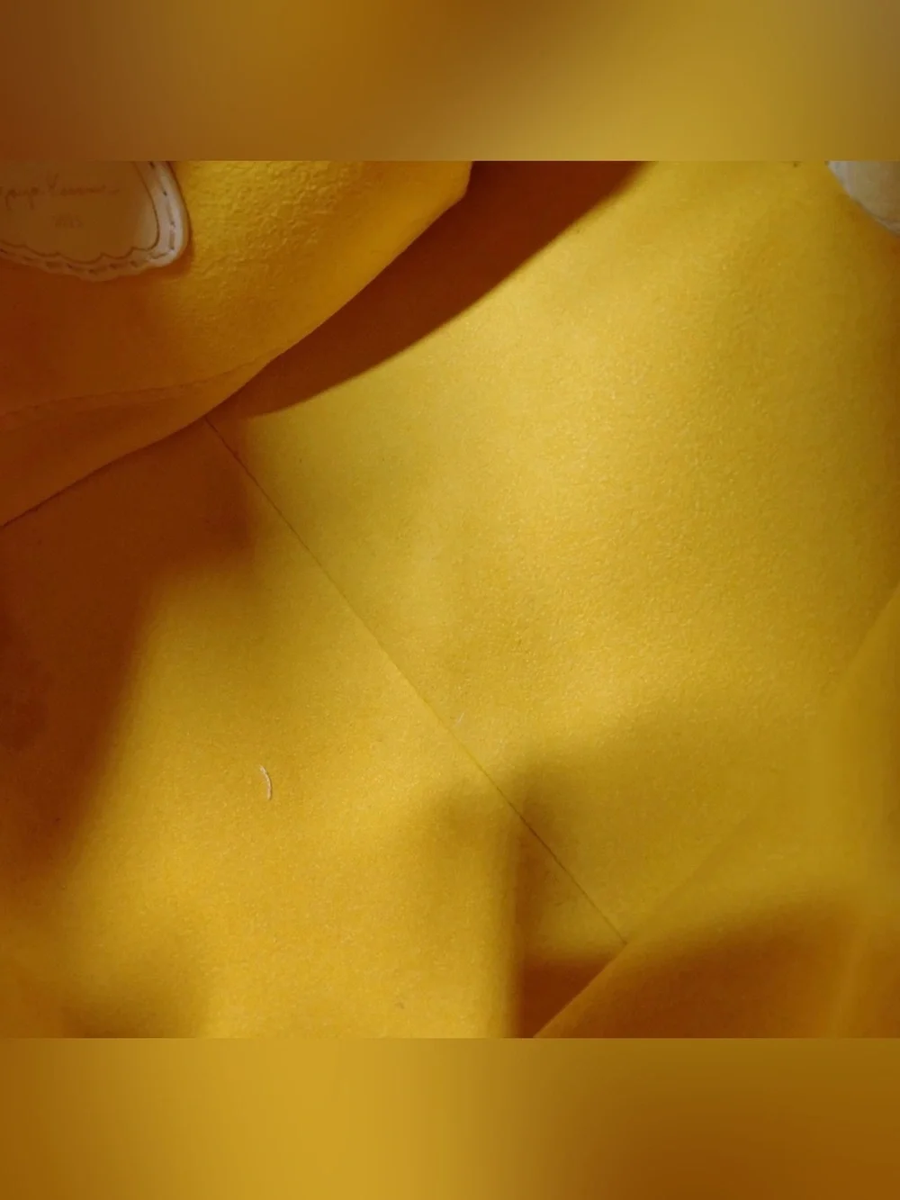 Louis Vuitton authentic louis